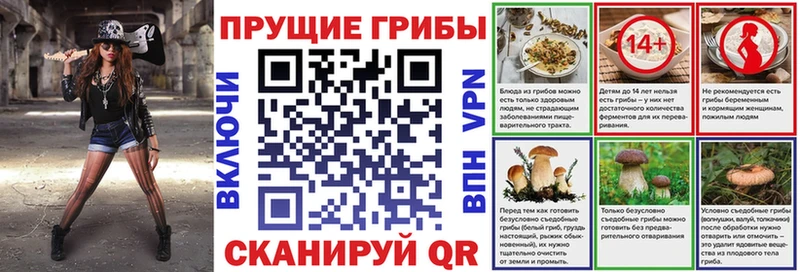 Псилоцибиновые грибы прущие грибы  Нижнеудинск 