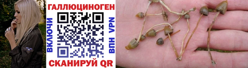 Псилоцибиновые грибы MAGIC MUSHROOMS Нижнеудинск